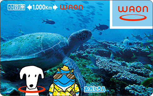 小笠原←1,000km→ WAON