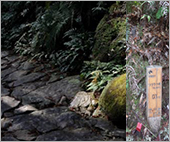 「熊野古道伊勢路WAON」寄付活用事例