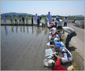 「しがマザーレイクWAON」寄付活用事例