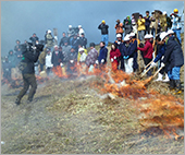 野焼き再開しました。