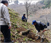 「吉野さくらWAON」寄付活用事例