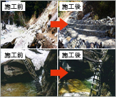 「信州アルプスWAON」寄付活用事例