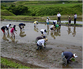 「里山里海ISHIKAWAON」寄付活用事例