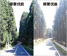 「しずおか富士山WAON」寄付活用事例