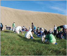 「山陰海岸ジオパーク鳥取砂丘WAON」寄付活用事例