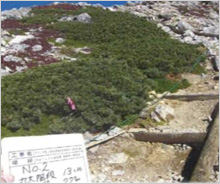 「信州アルプスWAON」寄付活用事例