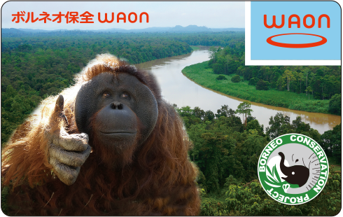 ボルネオ保全WAON