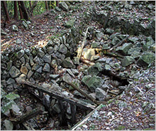 「ぐんまシルクWAON」寄付活用事例