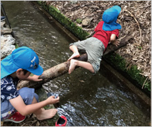 「みえ 子育てWAON」寄付活用事例