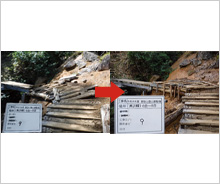 「信州アルプスWAON」寄付活用事例