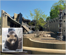 旭山動物園の施設整備に活用されました。