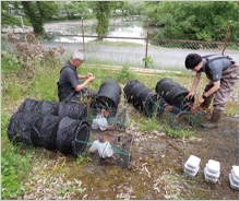 「兵庫コウノトリWAON」寄付活用事例