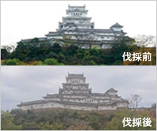 姫路城のライトアップ設備更新を支援しています。