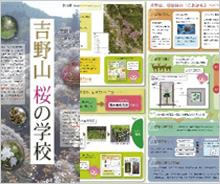 吉野山の桜調査研究活動を支援しました。