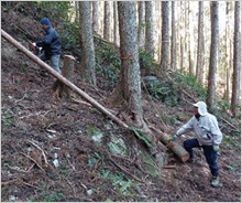 「熊野古道伊勢路WAON」寄付活用事例