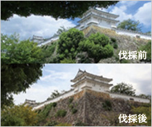 姫路城のライトアップ設備更新を支援しています。