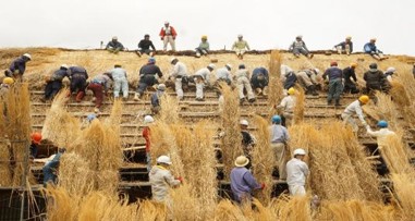 世界遺産白川郷合掌造り集落保存に活用しました。