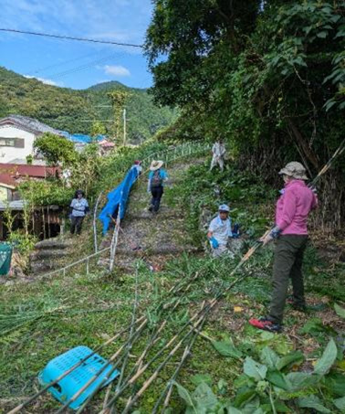 高校生等との協働による保全活動
