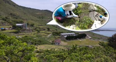 世界遺産登録推進活動に活用しました。