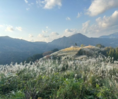 「上山高原の自然復元保全事業」を支援しています