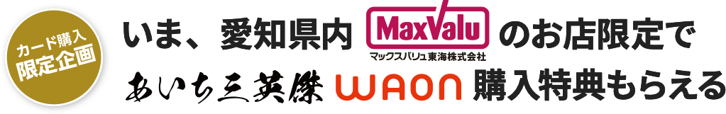 あいち三英傑WAON購入特典もらえる