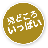 見どころいっぱい