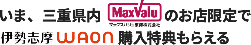 伊勢志摩WAON購入特典もらえる