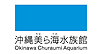 Okinawa Churaumi Aquarium